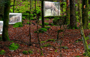 De la nouveauté sur le parcours permanent