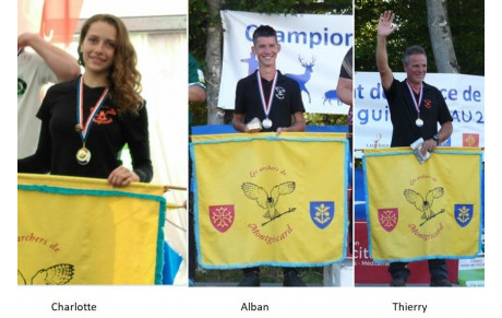 Championnat de France 3D