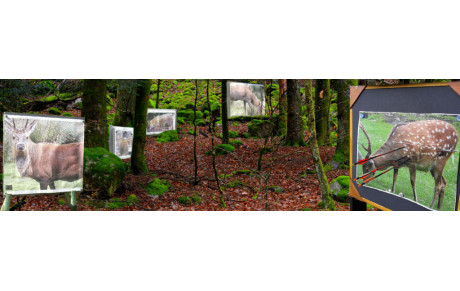 De la nouveauté sur le parcours permanent